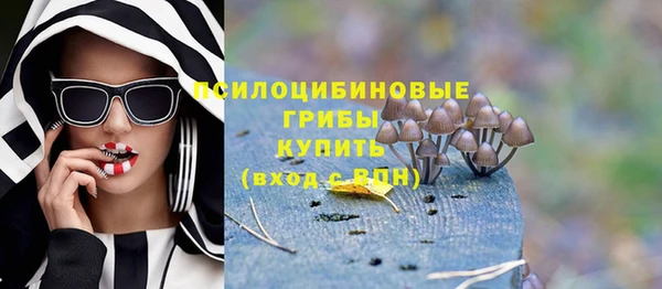 spice Семёнов