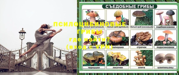 PSILOCYBIN Беломорск