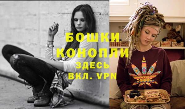 spice Семёнов